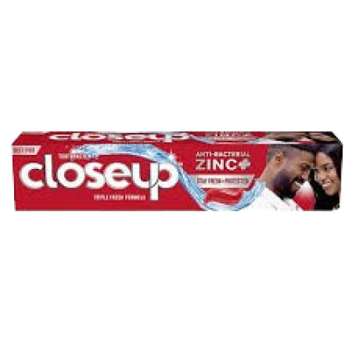 CLOSEUP ANTI-BACTERIAL ZINC+STAY FRESH+PROTECTED 90G