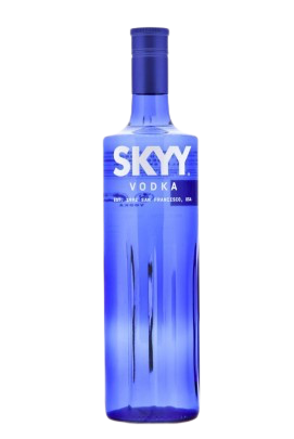 SKYY VODKA 100CL