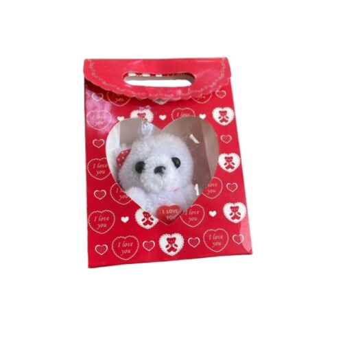I LOVE YOU TEDDY IN A BAG