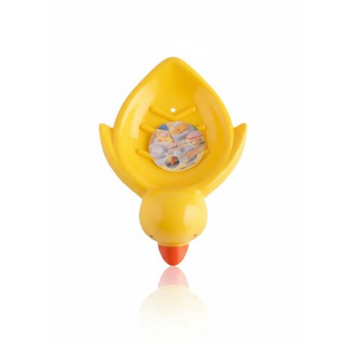 CUTE DUCK SOAP BOX