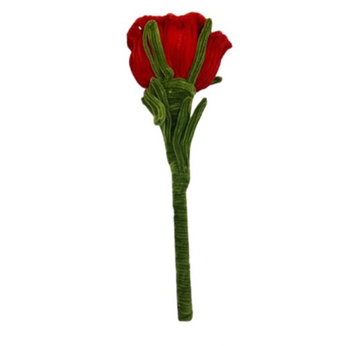 ROSE COLORFUL FLOWER